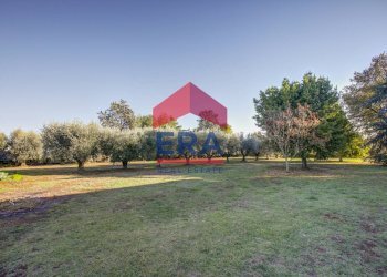 Foto 29 - Rustico Via Delle Monachelle
 
76, Pomezia - foto 29