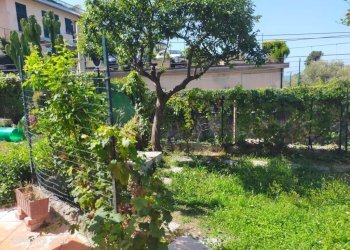 Giardino - Trilocale via Privata Chiappa, Pieve Ligure - foto 16