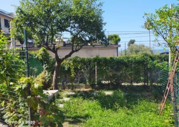 Giardino - Trilocale via Privata Chiappa, Pieve Ligure - foto 18