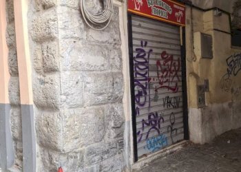 Zona - Ristorante vico del Campo, 11r, Genova (zona Centro Storico) - foto 1