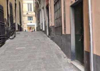 Zona - Ristorante vico del Campo, 11r, Genova (zona Centro Storico) - foto 10