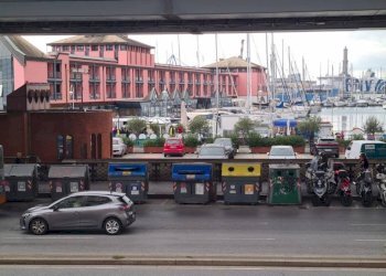 Zona - Ristorante vico del Campo, 11r, Genova (zona Centro Storico) - foto 13