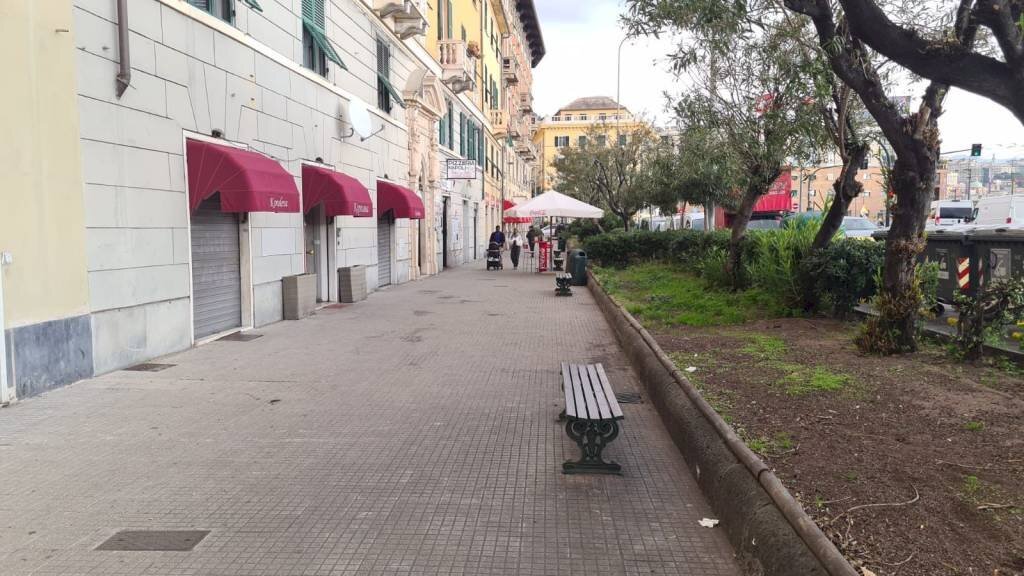 Zona - Shop via Bruno Buozzi, 22, Genova (neighborhood San Teodoro) - photo 1