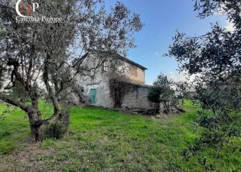 Foto 11 - Rustico Piazza XXV Aprile
 
1, Montecatini Val di Cecina - foto 11