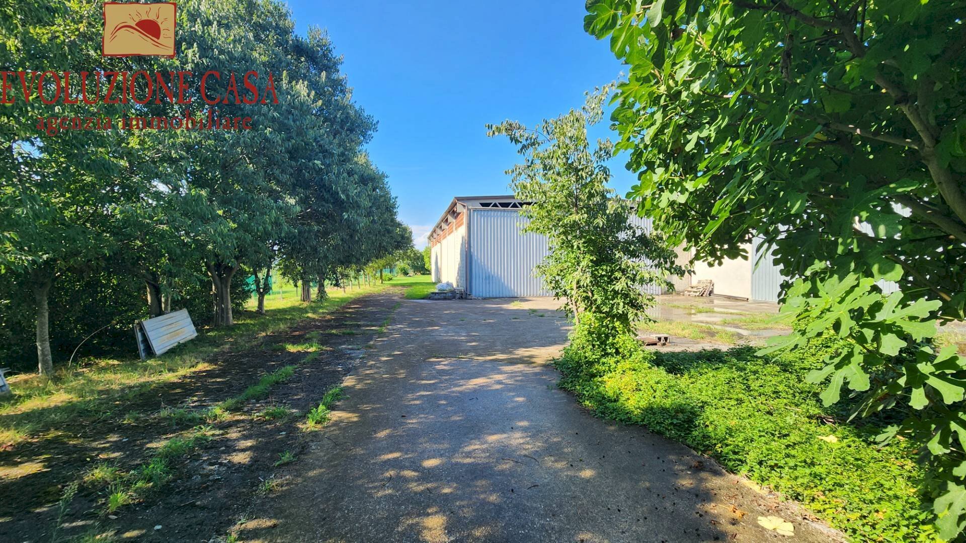 Foto 2 - Capannone roma
52, Gradisca d'Isonzo - foto 2