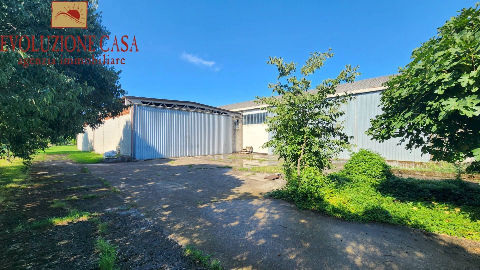 Foto 3 - Capannone roma
52, Gradisca d'Isonzo - foto 3