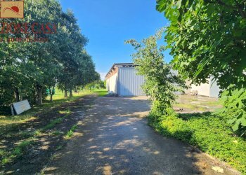 Foto 2 - Capannone roma
52, Gradisca d'Isonzo - foto 2