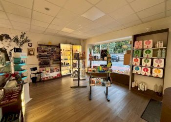 Interno non residenziale - Bar - Tabacchi - Ricevitoria Balangero - foto 6