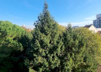 Vista - Bilocale via Antonio Mambretti, 29, Milano - foto 32