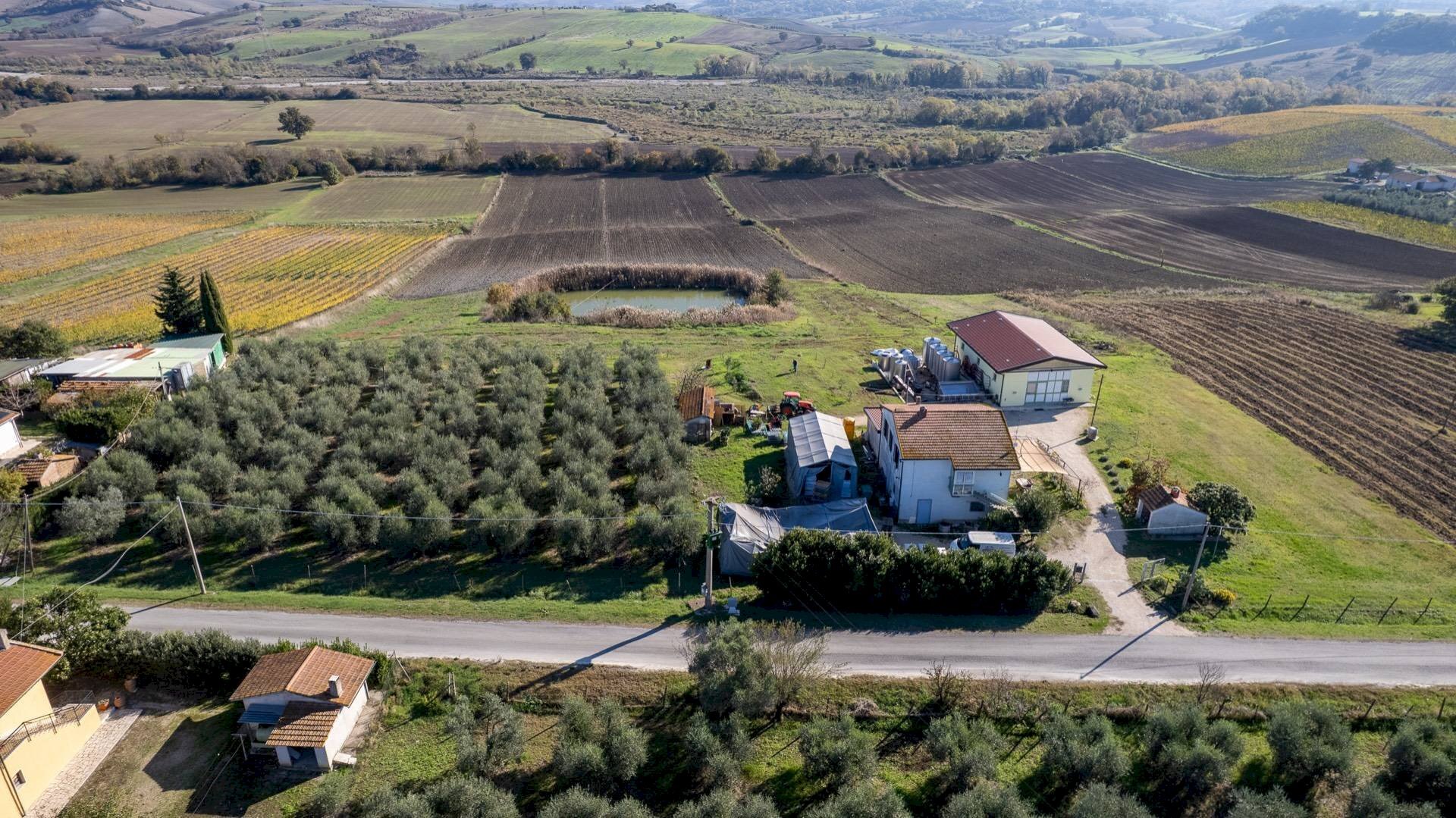 Foto 1 - Azienda agricola Poggio alle Calle
 
snc, Scansano - foto 1