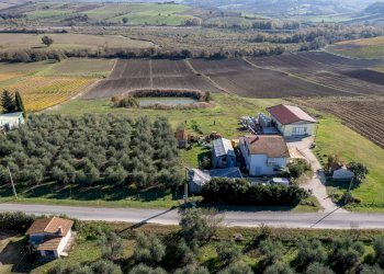 Foto 1 - Azienda agricola Poggio alle Calle
 
snc, Scansano - foto 1