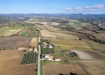 Foto 2 - Azienda agricola Poggio alle Calle
 
snc, Scansano - foto 2