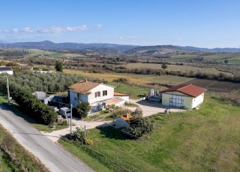 Foto 3 - Azienda agricola Poggio alle Calle
 
snc, Scansano - foto 3