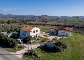 Foto 4 - Azienda agricola Poggio alle Calle
 
snc, Scansano - foto 4