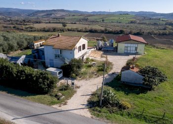 Foto 6 - Azienda agricola Poggio alle Calle
 
snc, Scansano - foto 6