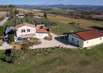 Foto 7 - Azienda agricola Poggio alle Calle
 
snc, Scansano - foto 7