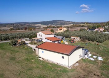 Foto 8 - Azienda agricola Poggio alle Calle
 
snc, Scansano - foto 8