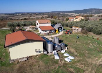 Foto 9 - Azienda agricola Poggio alle Calle
 
snc, Scansano - foto 9
