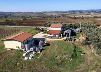 Foto 10 - Azienda agricola Poggio alle Calle
 
snc, Scansano - foto 10