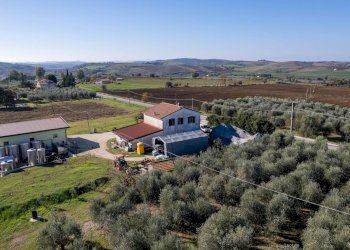 Foto 11 - Azienda agricola Poggio alle Calle
 
snc, Scansano - foto 11