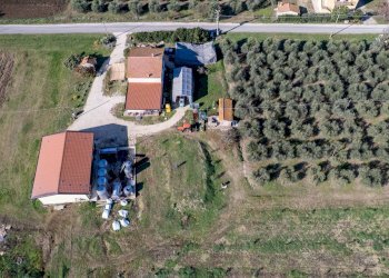 Foto 12 - Azienda agricola Poggio alle Calle
 
snc, Scansano - foto 12