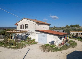 Foto 13 - Azienda agricola Poggio alle Calle
 
snc, Scansano - foto 13