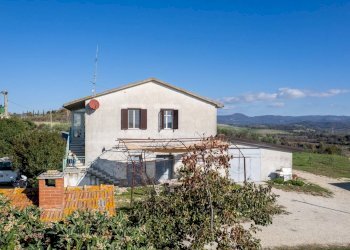 Foto 14 - Azienda agricola Poggio alle Calle
 
snc, Scansano - foto 14