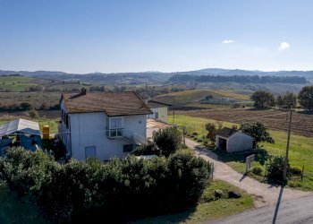 Foto 17 - Azienda agricola Poggio alle Calle
 
snc, Scansano - foto 17