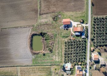 Foto 18 - Azienda agricola Poggio alle Calle
 
snc, Scansano - foto 18