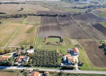 Foto 19 - Azienda agricola Poggio alle Calle
 
snc, Scansano - foto 19