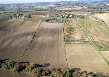 Foto 20 - Azienda agricola Poggio alle Calle
 
snc, Scansano - foto 20