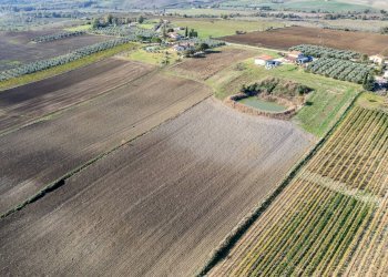 Foto 21 - Azienda agricola Poggio alle Calle
 
snc, Scansano - foto 21