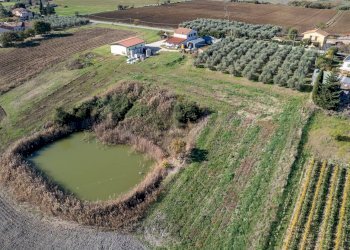 Foto 22 - Azienda agricola Poggio alle Calle
 
snc, Scansano - foto 22