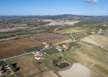 Foto 23 - Azienda agricola Poggio alle Calle
 
snc, Scansano - foto 23