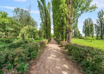 Terreno - Rustico Podere Isolone, 2-5, Zinasco - foto 8