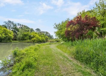 Terreno - Rustico Podere Isolone, 2-5, Zinasco - foto 10