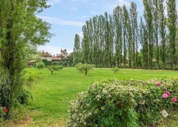 Terreno - Rustico Podere Isolone, 2-5, Zinasco - foto 35