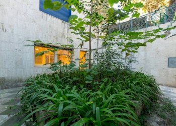 Giardino - Appartamento viale di Villa Grazioli, Roma - foto 15