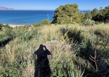 Terreno - Rustico via delle Calendule, 41, Alcamo - foto 6