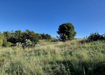 Terreno - Rustico via delle Calendule, 41, Alcamo - foto 12