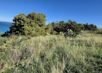 Terreno - Rustico via delle Calendule, 41, Alcamo - foto 14