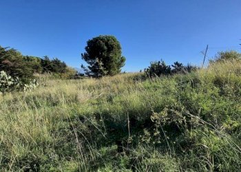 Terreno - Rustico via delle Calendule, 41, Alcamo - foto 15