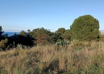 Terreno - Rustico via delle Calendule, 41, Alcamo - foto 19