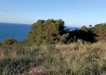 Vista - Rustico via delle Calendule, 41, Alcamo - foto 20