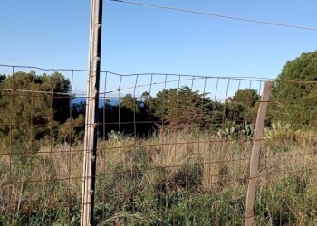 Terreno - Rustico via delle Calendule, 41, Alcamo - foto 26