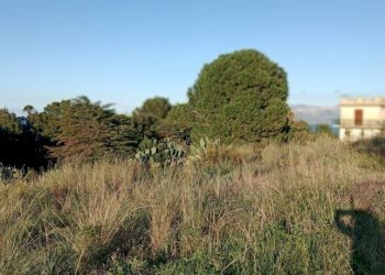 Terreno - Rustico via delle Calendule, 41, Alcamo - foto 28