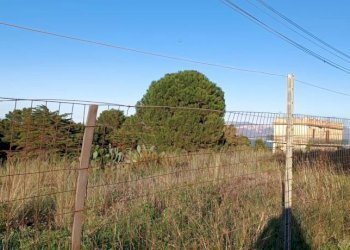 Terreno - Rustico via delle Calendule, 41, Alcamo - foto 30