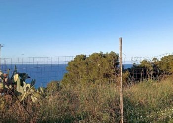 Terreno - Rustico via delle Calendule, 41, Alcamo - foto 33