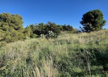 Terreno - Rustico via delle Calendule, 41, Alcamo - foto 38