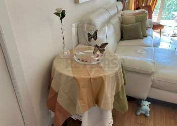 9ccc8fe7-e034-4738-aaf1-9e5e44a3808e.jpg - Trilocale Via G.Tadino 416, Bergamo - foto 4